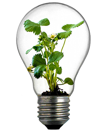 We have a solid collaboration with R&D specialists and prominent educational institutes throughout the world so that we can actively respond to the environmental demands of our time.